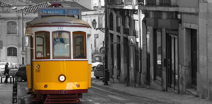 Blog Capa Artigos 1920x 1080 - 2